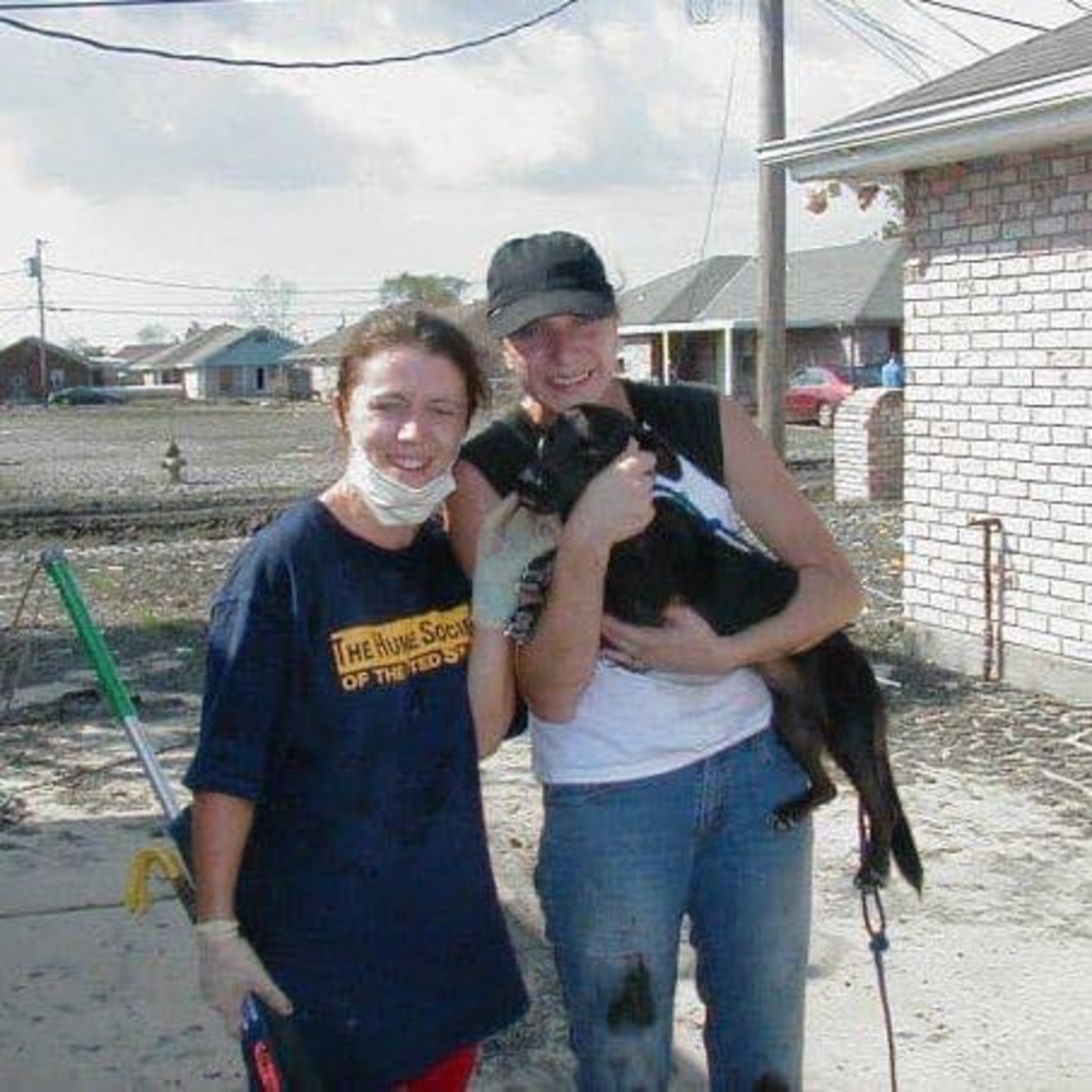 Meet your Posher, Liz